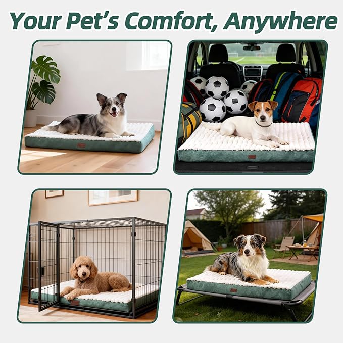 Orthopedic Dog Bed with Firm High-Density Egg Crate Foam Mattress,Machine Washable Cover & Non-Slip Bottom for Small Breeds & Toy Dogs (Green, 23" L x 17" W x 3" H)