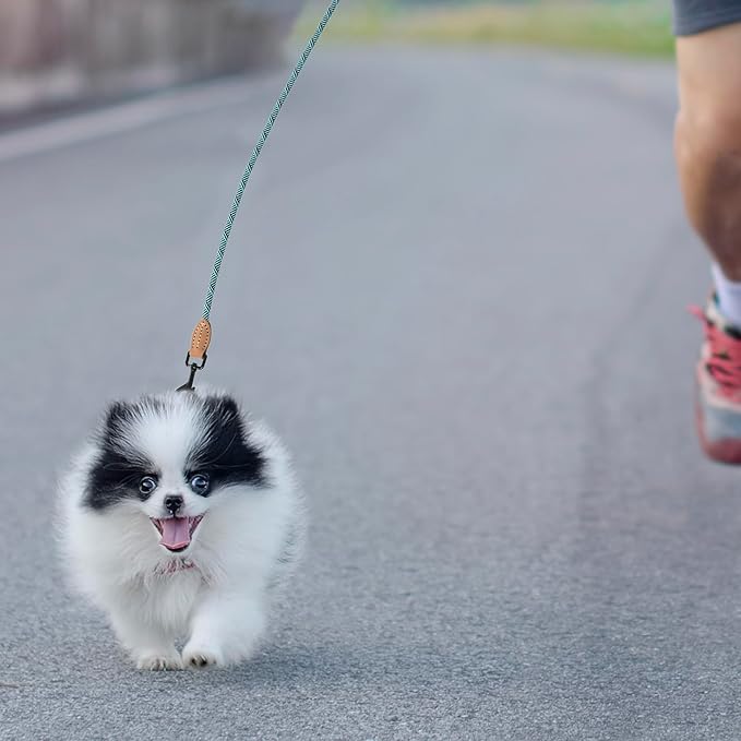 Mile High Life Small Dog Leash, Thin Rope Leash with Genuine Leather Connection and Heavy Duty Metal Clasp, Great for Small Medium Dogs(Turquoise Green, 48 Inch-1/3)