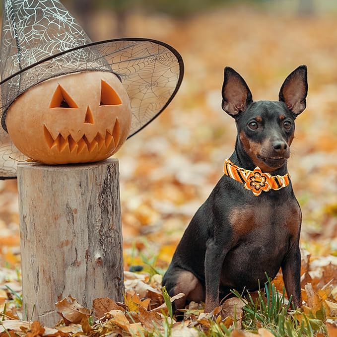 Elegant little tail Halloween Dog Collar, Orange Stripe Dog Collar with Flower Girl Boy Pet Collar Dog Flowers Holiday Soft Durable Pet Collar for Medium Dogs