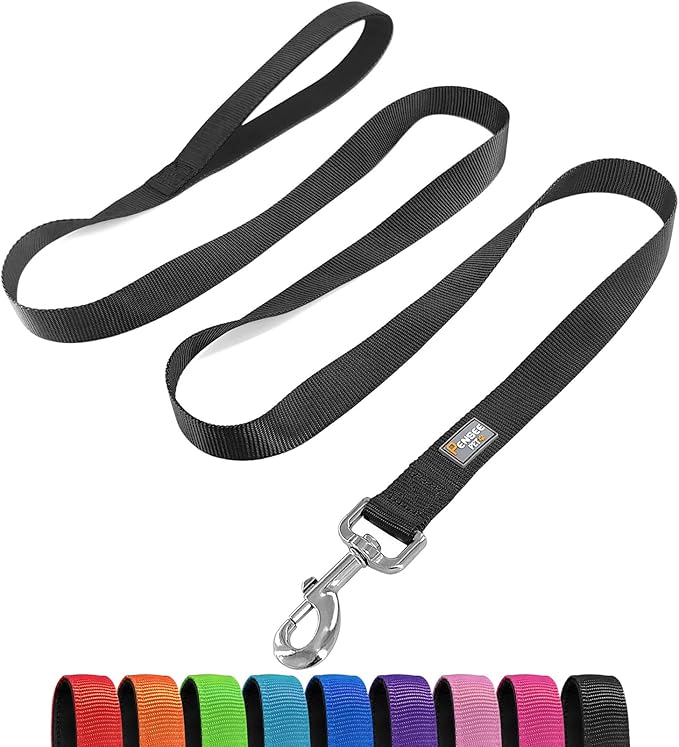 Basic Dog Leashes 6 FT Padded Handle Nylon Dogs Leashes for Medium Dogs Black