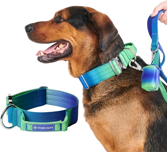 Spark Paws Tactical Dog Collar - Heavy Duty, Premium Quality, Thick and Durable for Large and Medium Dogs - Lime Wave - M - 1.5"