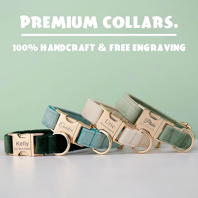 Personalized Velvet Dog Collar with Name & Phone Custom Dog Collar Personalized Name and Phone Number, Custom Collar Leash for Dogs, Engraved Metal Buckle Collar (Style - C)