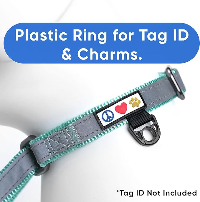 Pawtitas Customized Martingale Dog Collar Reflective Reflective Dog Collar Embroidered Personalized Name Phone Number Adjustable for Puppies Small Medium Large Size Dogs Large Teal
