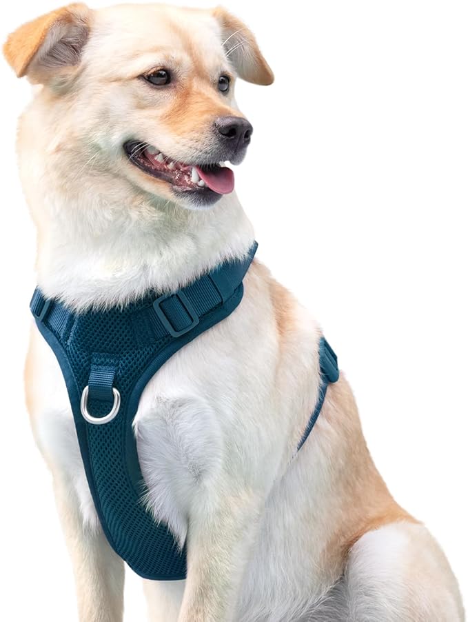 No Pull Dog Harness for Small Medium Large Dogs - Adjustable 2 Layer Mesh Dog Vest with Dual Clip, Escape Proof, Quick Release, Lightweight Breathable Mesh for Walking Hiking (Prussian Blue,L)