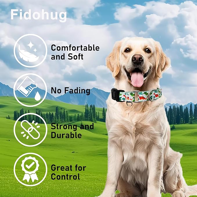Martingale Dog Collars with Buckle No Pull Training Dog Collar for Small Dogs (Green Dinosaur, Small)