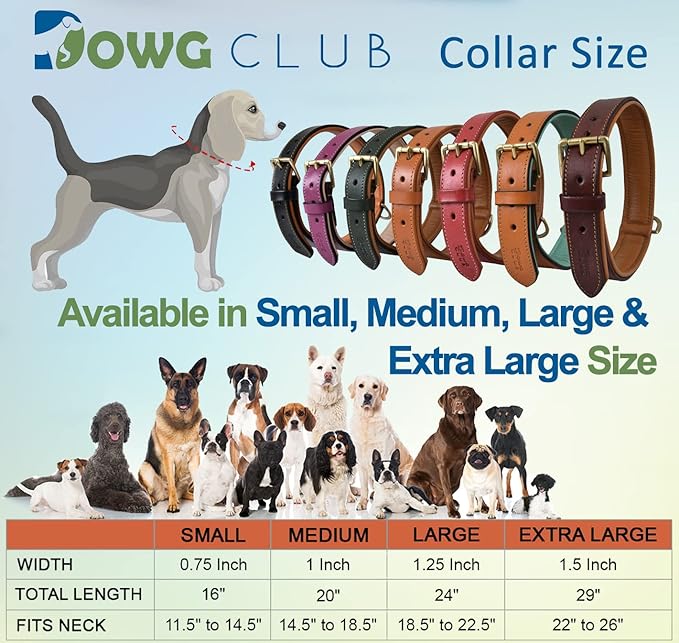 | Genuine Leather Scalloped Edges Vintage Dog Collar | Full Grain, Heavy Duty | Comfortable, Strong | Best for Medium, Large & XL Breeds (XL (Fit Neck Size 22"-26"), Brown-Scalloped Edges)