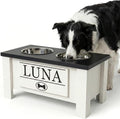 GTW Personalized Elevated Dog Bowl Stand for Large, Medium, Small, X-Small Dogs - Stainless Steel Food and Water Bowls - Raised Dog Dish with Internal Storage (Medium, Black)