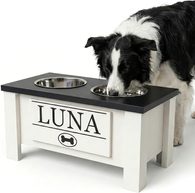 GTW Personalized Elevated Dog Bowl Stand for Large, Medium, Small, X-Small Dogs - Stainless Steel Food and Water Bowls - Raised Dog Dish with Internal Storage (Medium, Black)