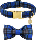 DOGWONG Christmas Dog Collar with Bow Tie, Blue Plaid Dog Collar Durable Metal Buckle Adjustable Soft & Cute Blue Checkered Dogs Collars for Small Medium Large Dogs, XS