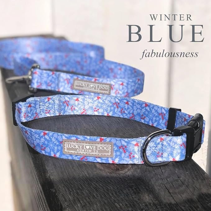 Lucky Love Dog Martingale Dog Collar & Leash - Adjustable, No-Slip, Durable, Comfortable, Soft Webbing, & Stylish Patterned Collar & Leash Set for Male and Female Dogs - Winterblue Combo, Small