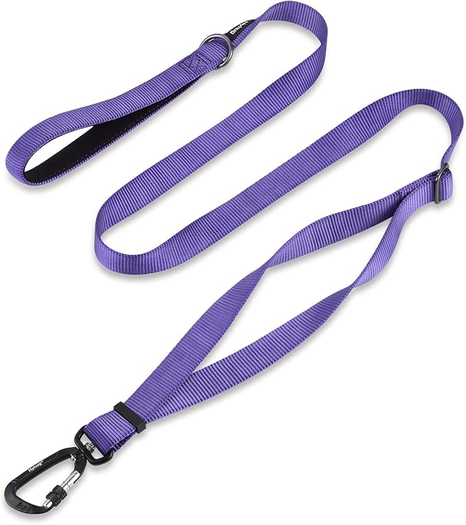 Hyhug Nylon Adjustable 4-6ft Dog Leash with Soft Neoprene Padded Handle, Durable Heavy Duty Leash with Easy-to-Use Bolt Snap, Ideal for Jogging Outdoor