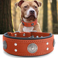 Leather Dog Collar, 2 inches Wide Heavy Duty Genuine Leather Collars, Handmade, Soft, and Luxury, Eye-catching Best Choice for Large and Medium Breed Dogs, Orange 21-25 inches