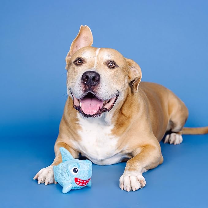 Fringe Studio Out of The Blue Rubber Dog Toy with Plush Exterior, Pet Shop Collection (519018)