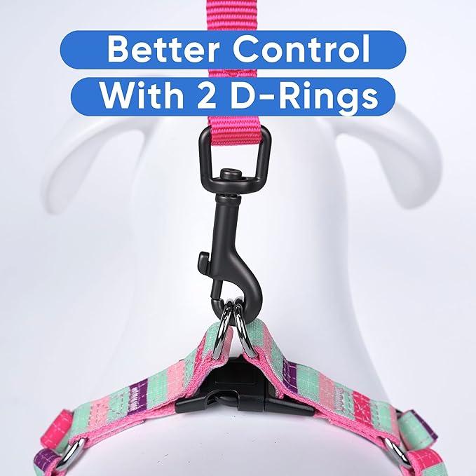 Pawtitas Multicolor Step-in Dog Harness – Adjustable No-Pull Vest for Puppies to Seniors, Safe & Comfortable XS Teal/Pink/Purple