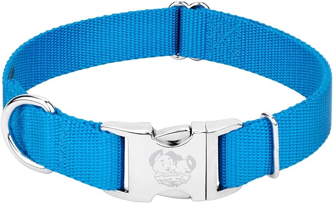 Country Brook Petz - Premium Nylon Dog Collar with Metal Buckle for Small Medium Large Breeds - 10+ Cool Colors (Extra Large, 1 Inch, Ice Blue)