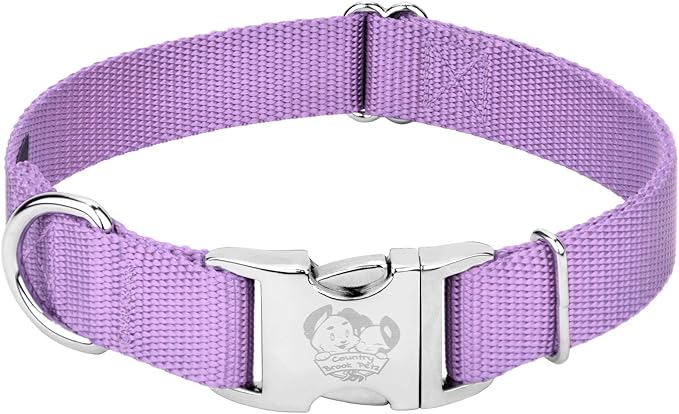 Country Brook Petz - Premium Nylon Dog Collar with Metal Buckle for Small Medium Large Breeds - 10+ Cool Colors (Medium, 3/4 Inch, Lavender)