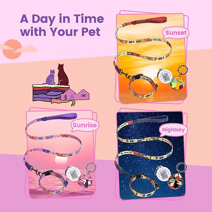 Dog Collar and Leash Set, QR Tag Adjustable Pet Collar, 5 FT Heavy Duty Dog Leash, Padded Handle, Quick Release Buckle, Metal Ring, 360° Swivel Clip for Small Dogs Walking Running (Purple, S)