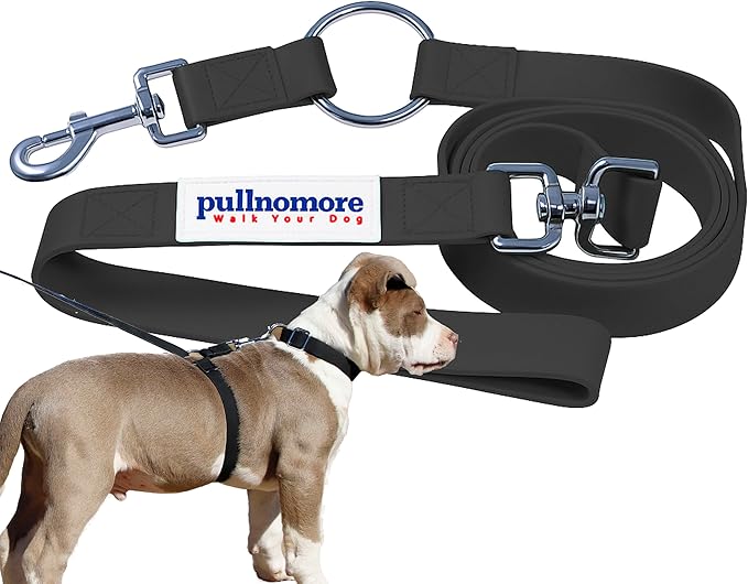 No-Pull Dog Leash, Chew Resistant, Waterproof, Durable PVC Material, Multiple Sizes and Colors (Black, Small)