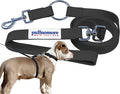 No-Pull Dog Leash, Chew Resistant, Waterproof, Durable PVC Material, Multiple Sizes and Colors (Black, Small)