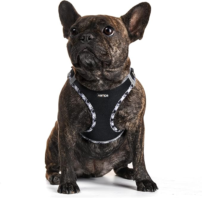 AMTOR Small Dog Harness with Leash Set, No Escape Easy Walk Puppy Harnesses for Training Walking, Step-in Reflective Soft Dogs Vest for XS S Medium Extra-Small Large Sized Dog(Blackwhite,L)