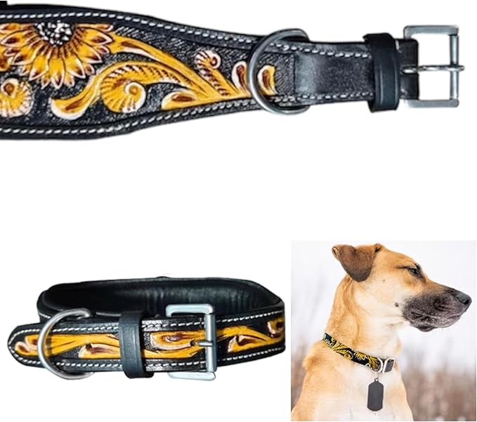 Majestic Ally Genine Leather Dog Collar with Adjustable, Padded Fit for Walking, Hiking, and Running, Designer Western Wear for Puppies, Fancy Customized Colors (Black - Yellow, Extra Large)