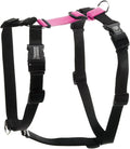 Blue-9 Buckle-Neck Balance Harness, Fully Customizable Fit No-Pull Harness, Ideal for Dog Training and Obedience, Made in The USA, Hot Pink, Medium/Large
