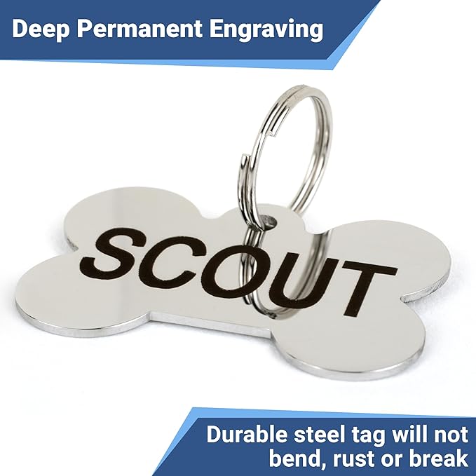 GoTags Stainless Steel Pet ID Tags, Personalized Dog Tags and Cat Tags, up to 8 Lines of Custom Text, Engraved on Both Sides, in Bone, Round, Heart, Bowtie and More (Heart, Regular (Pack of 1))