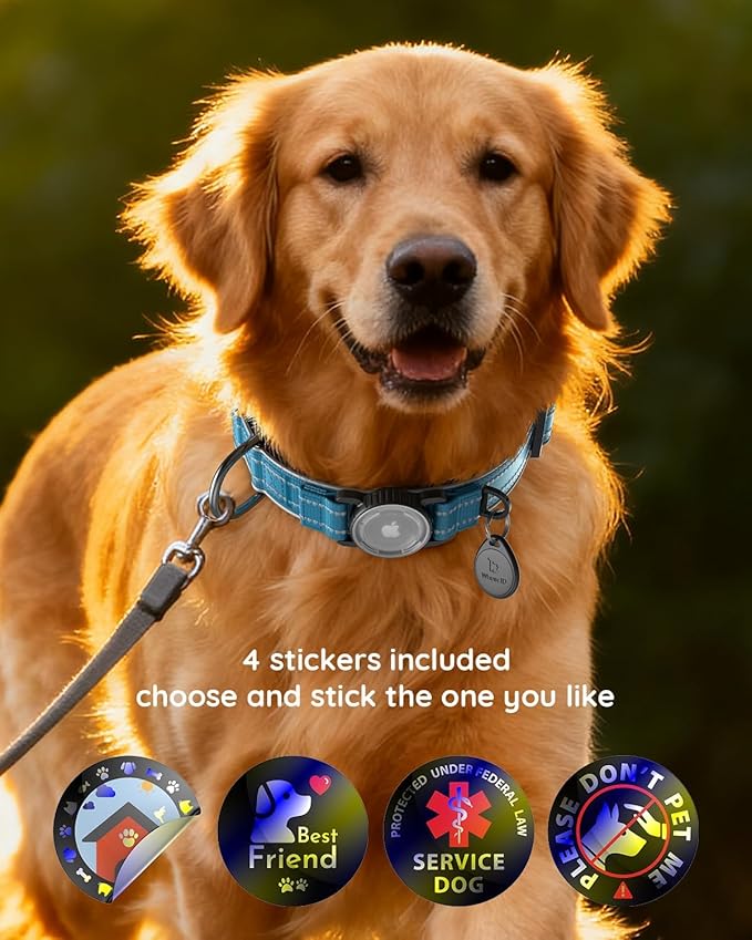 Upgrade Airtag Dog Collar,with IPX8 Waterproof AirTag Holder | Reflective Ultra-Durable | Soft Padded | Lock Buckle | Heavy Duty | Fit Small Medium Large Dogs（Blue1，XL(19"～27")）