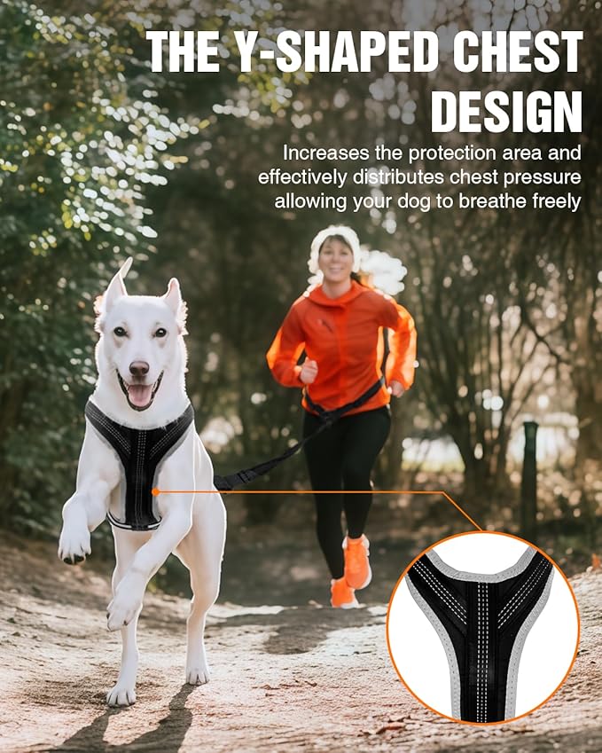 Dog Pulling Harness for Running, Skiing, Biking & Weight Pulling – Adjustable Sled Dog Harness with Leash & Waist Leash Attachment for Medium & Large Breeds (XL)