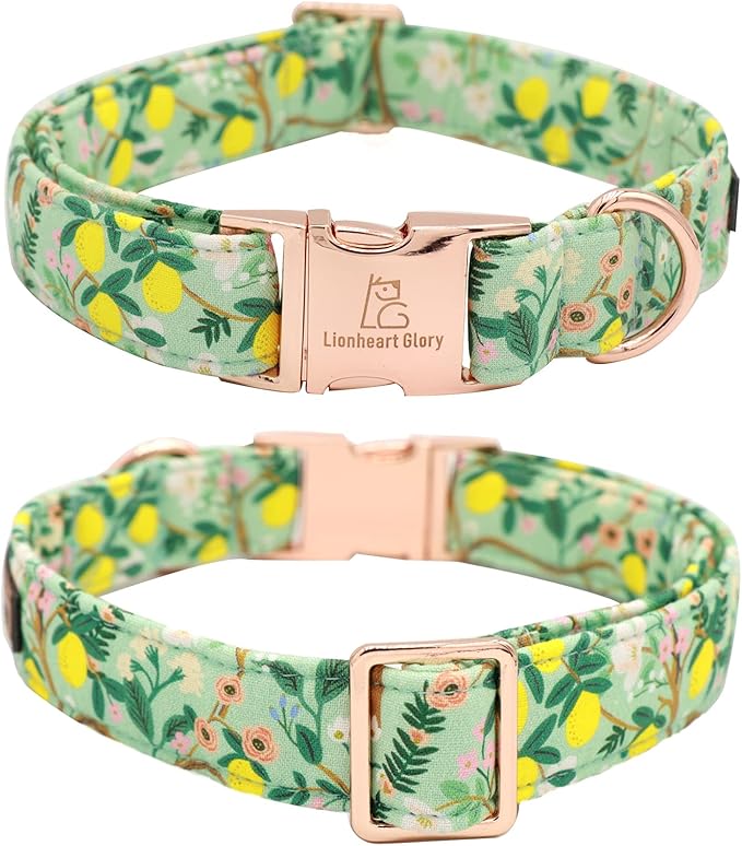 Lionheart Glory Cute Lemon Floral Pattern Adjustable Dog Collar for Small Dogs
