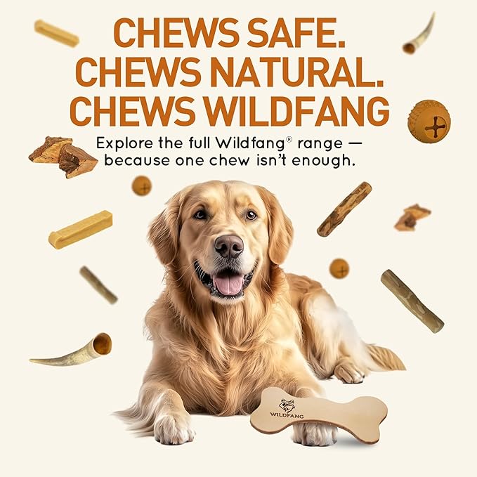 Wildfang® Leather Dog Toy, Large – Soft Dog Chew Toys for Gentle Chewers, Puppies, Senior or Older Dogs with Sensitive Teeth – Non-Toxic, Stuffless, 5mm Leather Bone for Dogs Over 33 lbs, Pack of 3