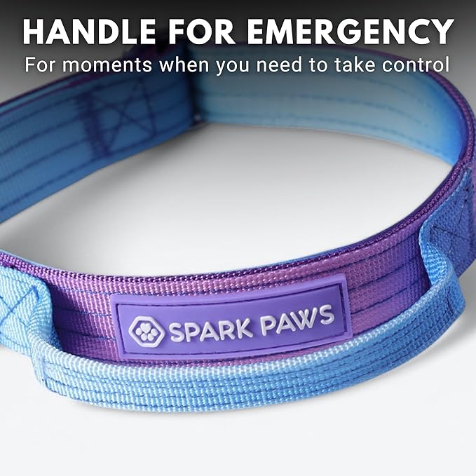Spark Paws Tactical Dog Collar - Heavy Duty, Premium Quality, Thick and Durable for Large and Medium Dogs - 90's Retro - XS - 1"