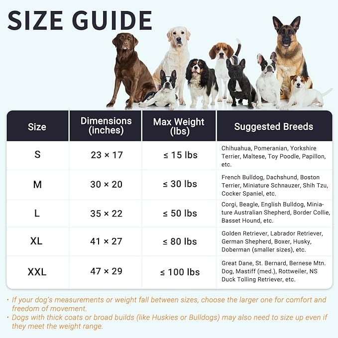 Cozy Dog Beds for Small Dogs - Orthopedic Egg Crate Foam Pet Bed with Removable/Washable/Waterproof Cover & Non-Slip Bottom, Ideal for Crate and Indoor Use, 23x17 Inch, up to 15 lbs, Dark Grey