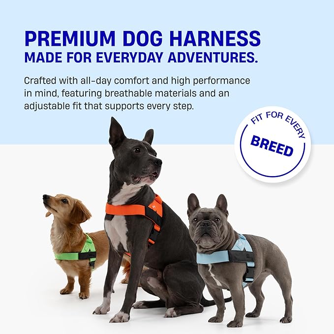 DF Co. Dog Harness | Chafe Resistant Webbing, Adjustable Neck & Chest, and Heavy Duty D-Ring | Sturdy, Comfortable, Easy to Use | Red, Size XL