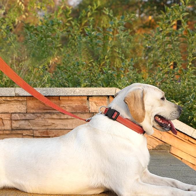 Reflective Dog Leash 6 FT Padded Handle Nylon Dogs Leashes for Large Dogs Orange