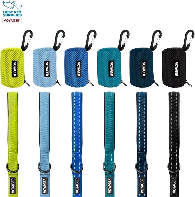 Best Pet Supplies 2-Pack Dog Poop Bag Holder Leash Attachment, Color, Reusable Mesh Dispenser Pouch for Travel, Walking, Park, and Outdoor Use, Soft and Durable with Clip-On - Mesh Fuchsia