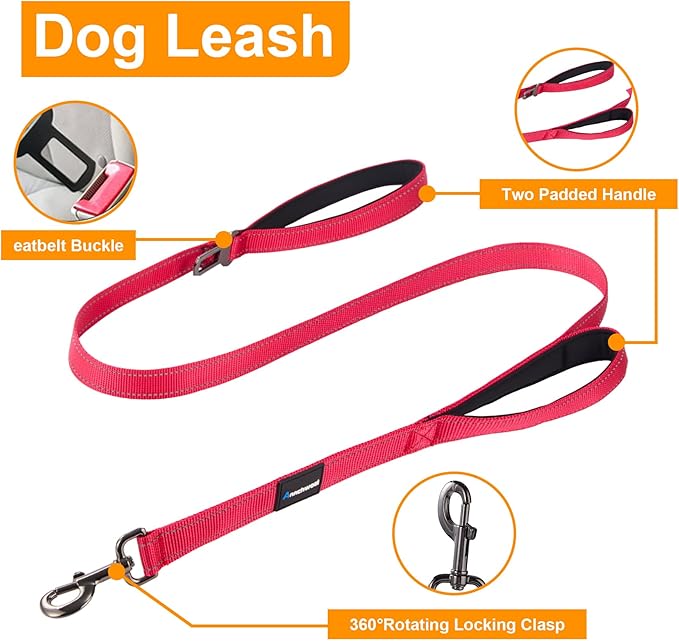 Annchwool Adjustable Dog Collar and 5FT Leash Set with Heavy Duty Metal Buckle–Comfortable Lining Reflective Collar & Dual-Handles for Small Medium Large Dogs Walking,Running,(Red Set,L:17''-23'')