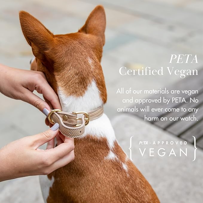 NINA WOOF Milan Vegan Leather Dog Collar - Luxury Cute Dog Collar with Adjustable Buckle - Soft Padded Collar, Round Leather Dog Collar for Extra Small, Small, Medium, and Large Dogs - Beige, XS