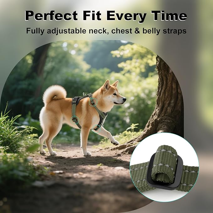 Plutus Pet Adjustable No Pull Dog Harness with Leather Accents, Heavy Duty Reflective Nylon Vest for Training, Hiking, Easy Walk Harness for Small, Medium, Large Dogs (Ranger Green, S)