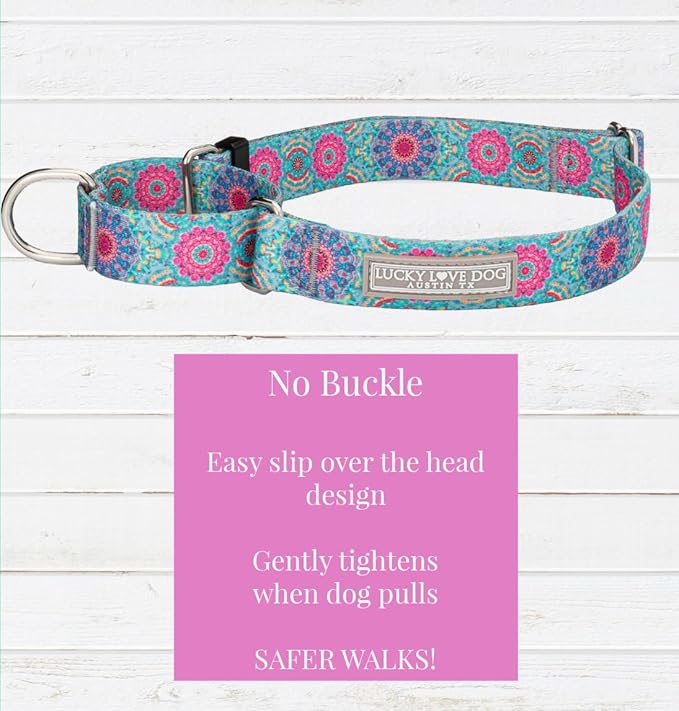 Lucky Love Dog Martingale Dog Collar & Leash - Adjustable, No-Slip, Durable, Comfortable, Soft Webbing, & Stylish Patterned Collar & Leash Set for Male and Female Dogs - Clara Combo, Large