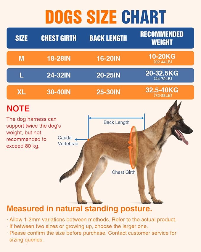 Dog Pulling Harness for Running, Skiing, Biking & Weight Pulling – Adjustable Sled Dog Harness with Leash & Waist Leash Attachment for Medium & Large Breeds (L)