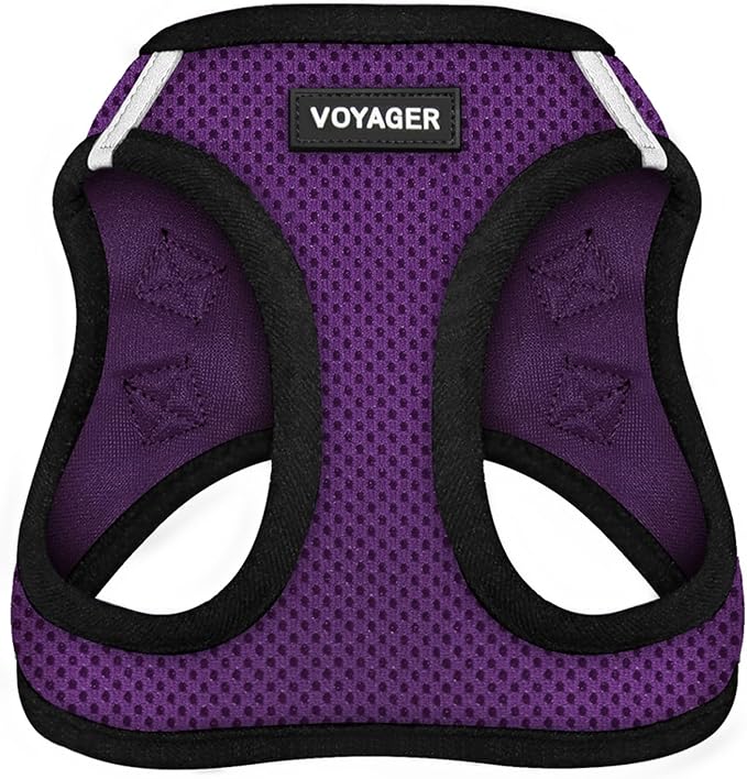 Best Pet Supplies Voyager Step-in Air Harness - All Weather Mesh, Reflective, No Pull Harness for Dogs, Cats - Secure with Hook & Loop Fastener, Buckle, Double D-Rings - Purple/Black Trim, L