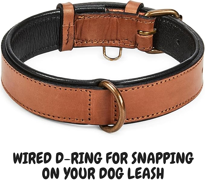 Real Leather Dog Collar Padded Soft Interiors with Premium Vintage Look Handcrafted Heavy Duty with Tag Ring for Small Medium and Large Pets (Medium (1.25" Wide for 13.5" - 17.5" Neck), Cognac)