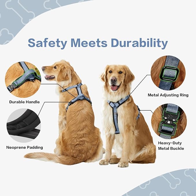 PawsPassion Dog Harness for X-Large Dogs, No Pull Dog Harness Easy Walk with Metal Hardware, Ergonomic Y-Shaped Design, Soft Padding, Padded Handle, Durable High-Tensile Nylon (Horizon, XL)