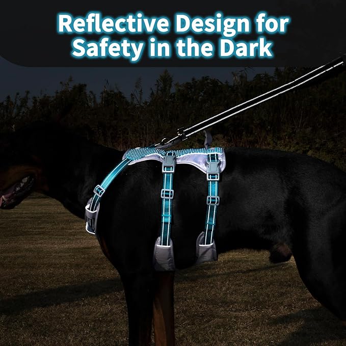 Huntboo Reflective Dog Harness with Handle, Escape Proof, No Slip, Breathable, Lightweight, Adjustable Lift Harness for Small, Medium, and Large Dogs Walking, Training, and Running Gear(Teal Blue,XL)