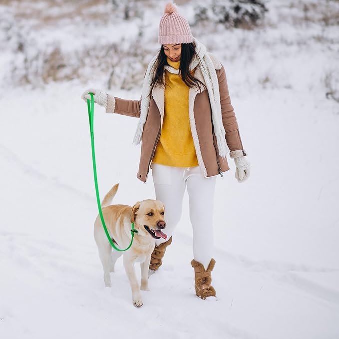 Dogline Biothane Slip Dog Leash - for Small, Medium and Large Dogs - Odor Free Slip Lead, Heavy Duty and Durable Material Kennel Lead - Tropical Green - 5ft L x 3/8in W