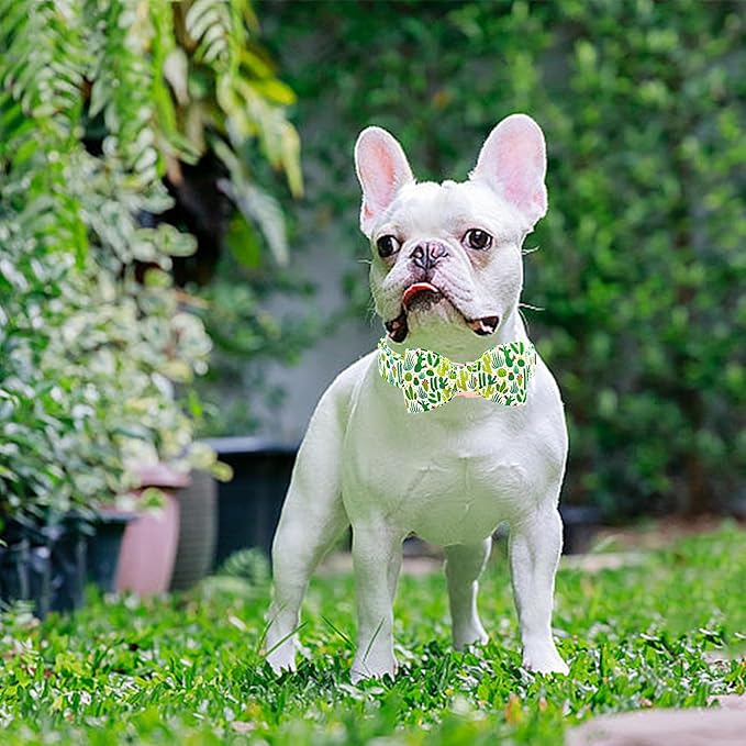 Lionheart glory Dog Bow Collar Green Cactus Print Collars for Medium Dogs,Spring Summer Cute Dog Collar with Bowtie Pet Collars Bows Pet Gift