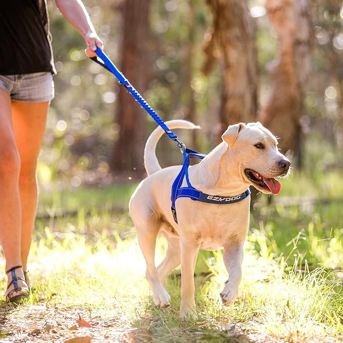 EzyDog Zero Shock Dog Leash - Shock Absorbing Bungee Leash for Dogs That Pull or Excite - Dual Handle and Reflective for Large, Medium, or Small Dogs (48-inch, Red)
