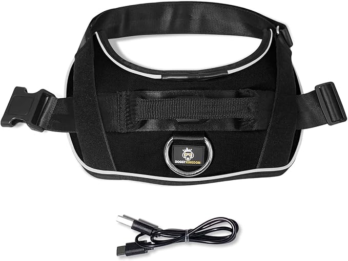 Personalized No Pull 360° LED Dog Harness with Custom Name Patches, USB Rechargeable, Adjustable, Reflective for Night Walks, Rainproof Module with 3 Modes Lasts up to 24h, Black, XS