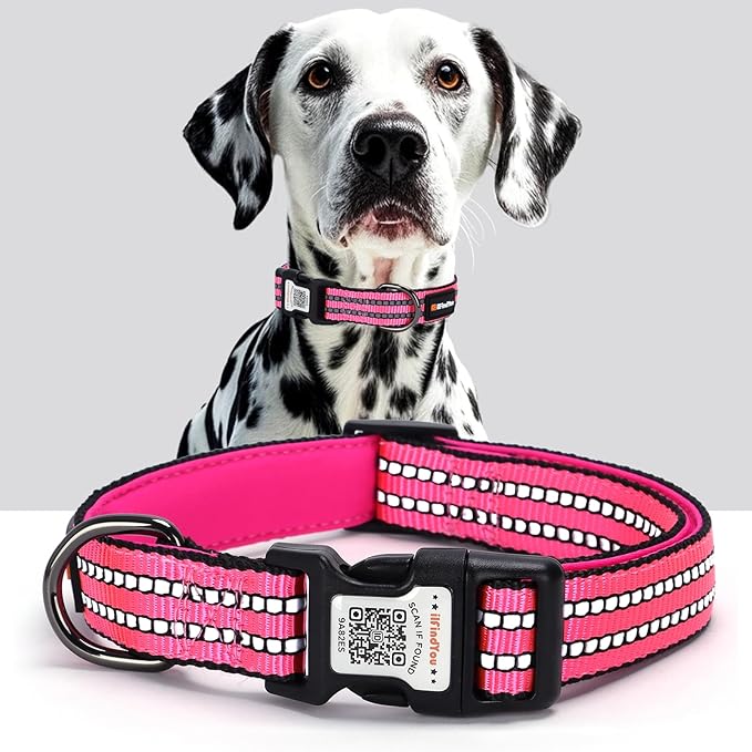Reflective Dog Collar with QR Code Tag, Personalized Dog Collar, Safety Night Visibility, Anti-Loss Function (Rose Red, Small)